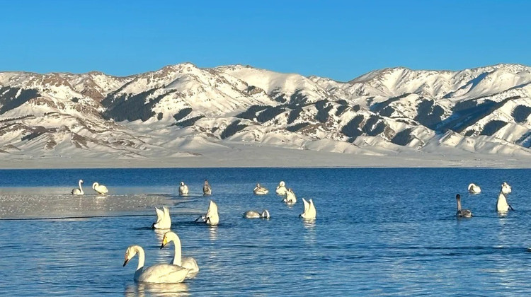 乌鲁木齐+独山子大峡谷+赛里木湖+夏塔旅游景区+恰西草原风景旅游区+那拉提旅游风景区+百里画廊8日7晚拼小团·放心游·无购物·精致小团·贴心赠送 随车干果包 酸奶 时令水果