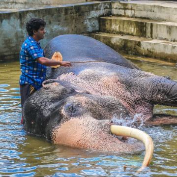 斯里兰卡7日6晚跟团游