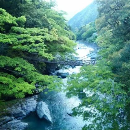 日本濑户内海+德岛+爱媛县+香川县6日5晚私家团