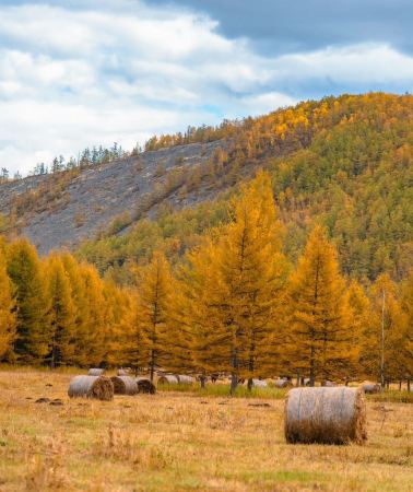 6D5N • China + Inner Mongolia + Hulunbuir + Hulunbuir Grasslands + Moergle River Scenic Area + Inner Mongolia Ergun National Wetland Park