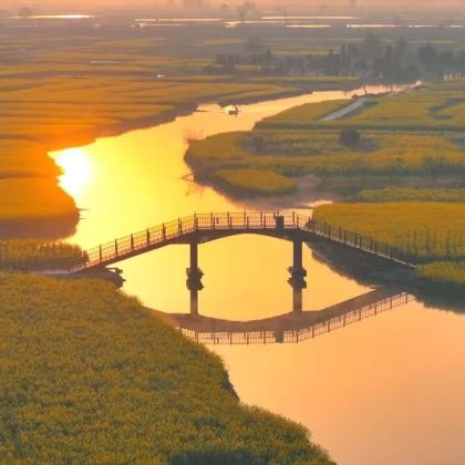 泰州+千垛景区+李中水上森林公园+溱潼古镇+溱湖国家湿地公园4日3晚私家团