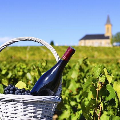 法国7日6晚私家团