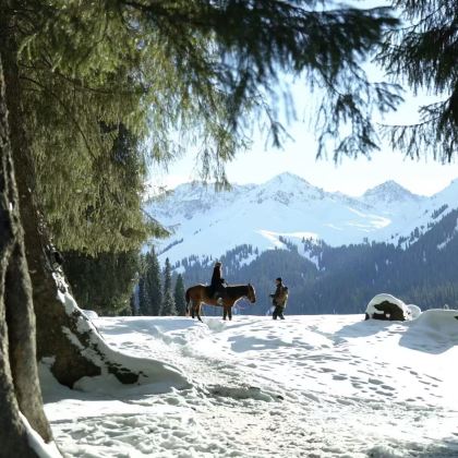 新疆北疆+乌鲁木齐8日7晚跟团游