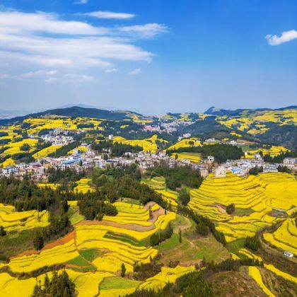 昆明+抚仙湖+建水+元阳+普者黑风景区+弥勒6日5晚私家团