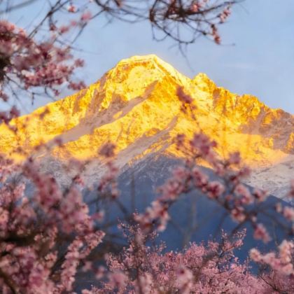 林芝+波密5日4晚私家团