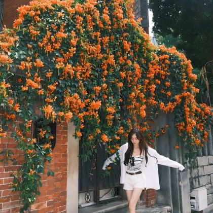 厦门+鼓浪屿3日2晚拼小团