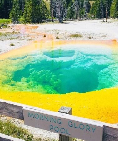 7D6N • San Francisco to Yellowstone and Las Vegas 7-Day Tour