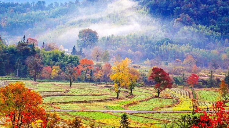 2-Day 2-Day Huangshan Private Tour: Yellow Mountain and Xidi Ancient Village