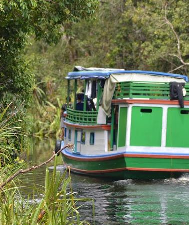 6D5N • Dayak Lamandau & Orangutan Tanjung Puting Park Tour 6 Days
