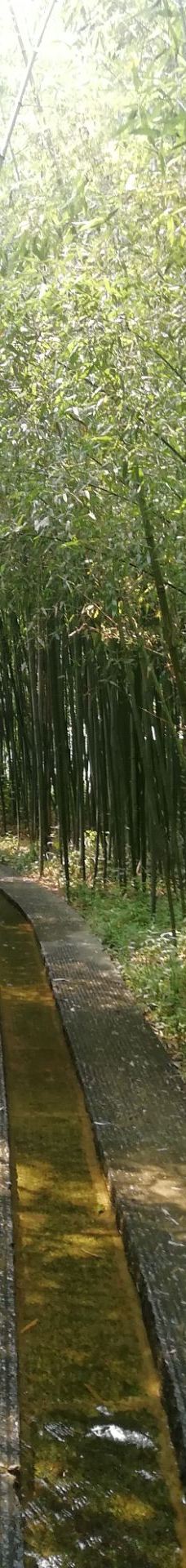 竹洞天风景区-日照