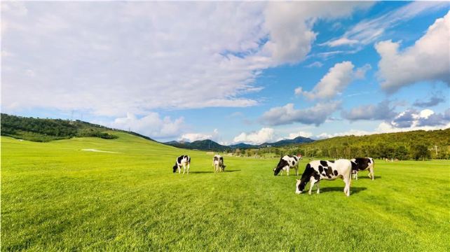 7-Day China Dalian Highlights Private Tour·Dalian Coastal National Geopark, Ten Miles Gold Coast, Lotus Hill Viewing Tower and Donggang Yacht Marina 