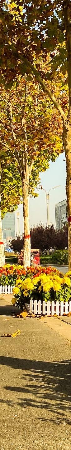 开封博物馆-开封