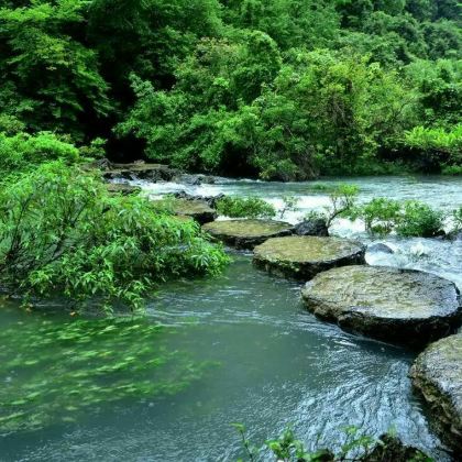 贵州黄果树+荔波小七孔景区+荔波茂兰自然保护区5日4晚私家团