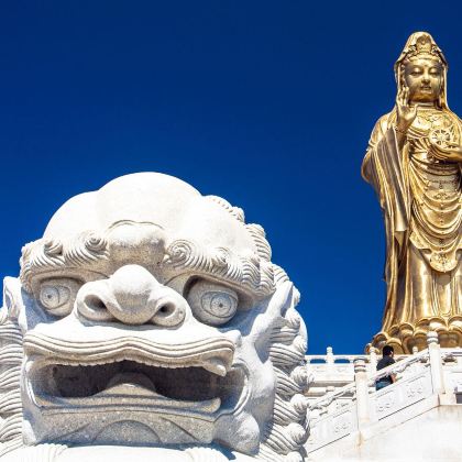 舟山普陀山风景区+普济禅寺+紫竹林+洛迦山3日2晚自由行