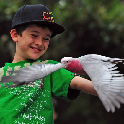 澳大利亚悉尼+凯恩斯+墨尔本9日8晚私家团