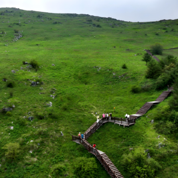 汉中+光雾山旅游景区+紫柏山国家森林公园+张良庙+略阳五龙洞国家森林公园5日4晚私家团