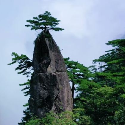 黄山+宏村景区+西递+徽州古城5日4晚自由行