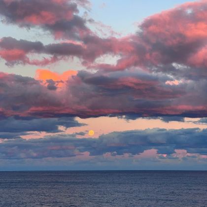 澳大利亚悉尼+黄金海岸+布里斯班+摩顿岛13日11晚私家团