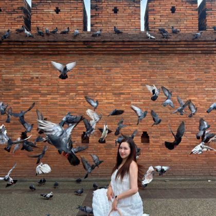 泰国曼谷+清迈6日5晚私家团