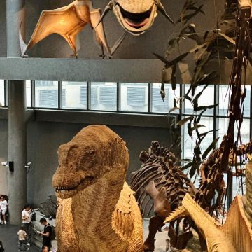 博物馆讲解·小团VIP【玩转自博馆】上海自然博物馆1日独立营丨探索恐龙时代，矿物形状大揭秘，步入非洲大草原，探索宇宙之谜，零距离触摸自然