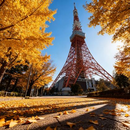 日本东京+富士山+箱根7日6晚私家团
