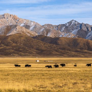 可可西里+察尔汗盐湖+敦煌+嘉峪关+青海8日7晚私家团