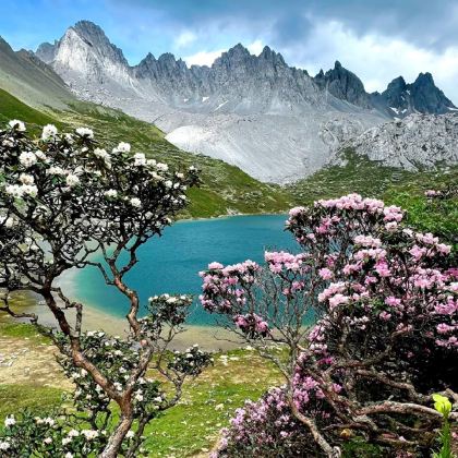 云南昆明+大理市+丽江+香格里拉8日7晚跟团游