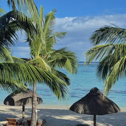 澳大利亚11日8晚拼小团