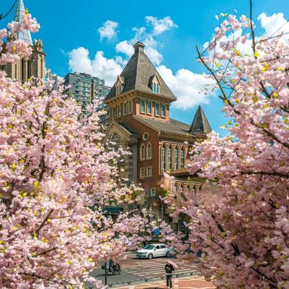 武汉+宜昌3日2晚私家团