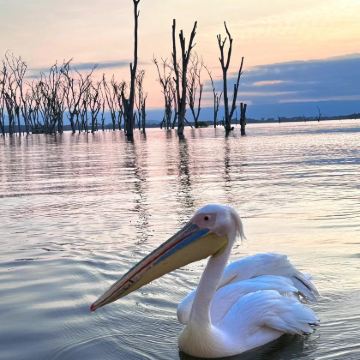 肯尼亚10日跟团游