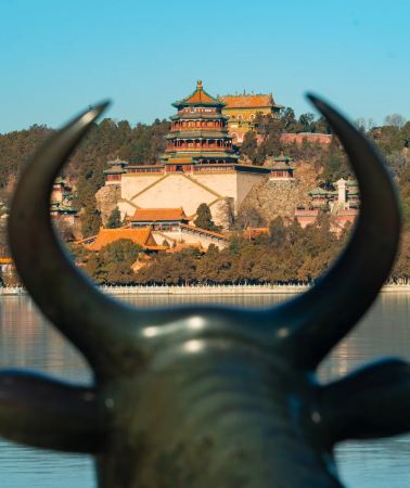 7D6N • Beijing - Xi'an - Shanghai: Imperial Grandeur · Terracotta Warriors · Neon Skyline