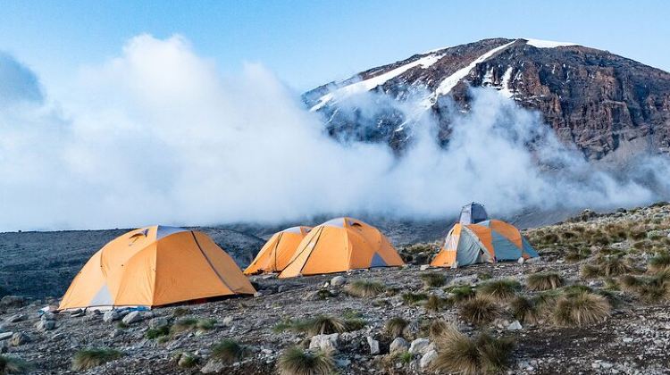 6D5N · Group Tours · 6-Day Kilimanjaro Climbing Via Machame Route