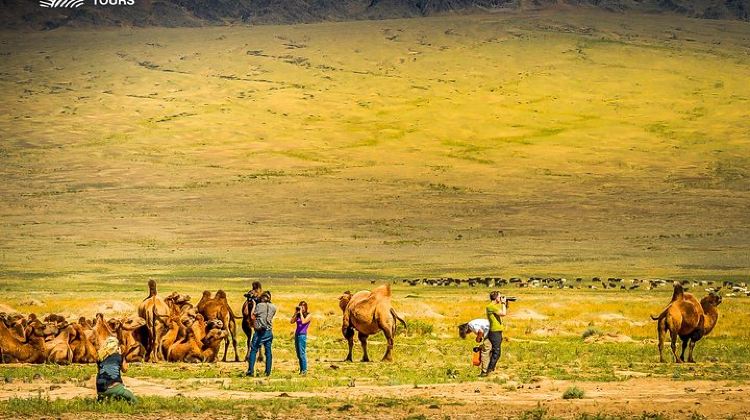 3D2N · Group Tours · 3 days Semi Gobi Desert and Genghis Khan Statue