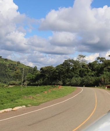 2D1N • 2 Day Chimpanzee Trek at Kibale National Park
