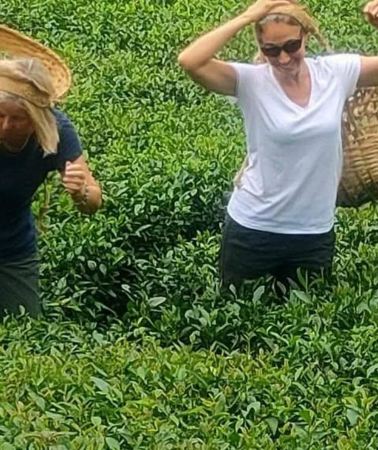 7D6N • From Bagdogra: 7 Days Darjeeling Himalayan Heritage Tea Tour