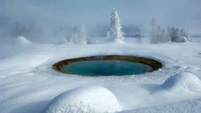 【Winter Yellowstone Tour】5-Day Winter Wonderland Tour from Salt Lake City·Yellowstone National Park, Grand Teton National Park, National Elk Refuge