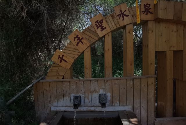 天山神木园旅行图片 3