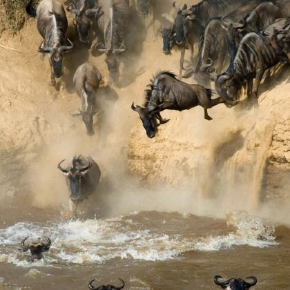 肯尼亚14日私家团