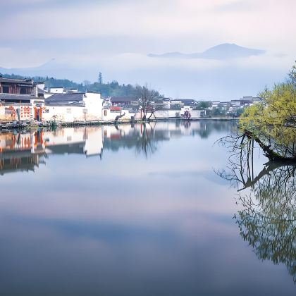 黄山+西递+宏村景区+九华山风景区+徽州古城+婺源6日5晚私家团