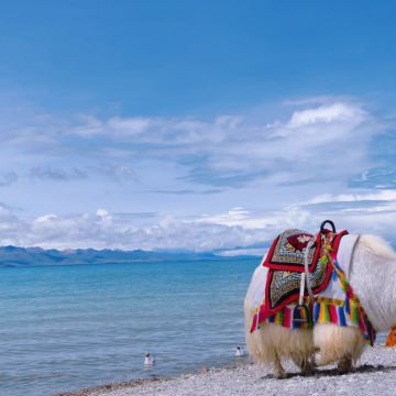 西藏拉萨+林芝+山南+布达拉宫+雅鲁藏布大峡谷+羊卓雍错+纳木措景区8日7晚跟团游