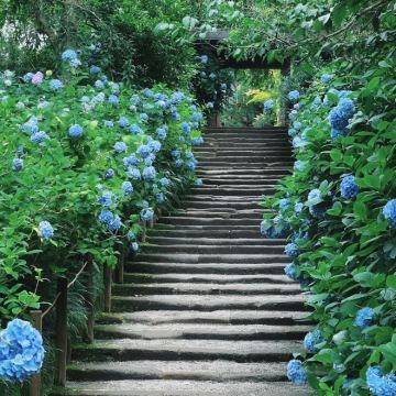 日本东京+箱根7日6晚自由行