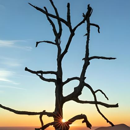 美国华盛顿+美国白宫+五角大楼+美国联邦调查局总部+美国国会大厦+仙纳度国家公园+萝莉洞2日1晚私家团