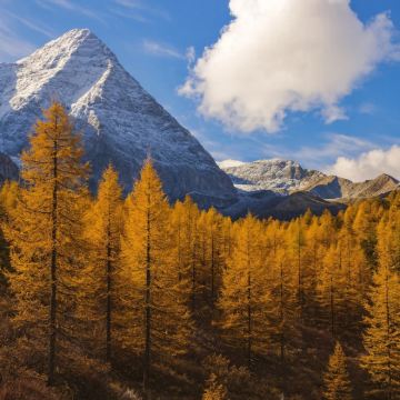 四姑娘山+稻城亚丁+鱼子西+新都桥7日6晚自由行