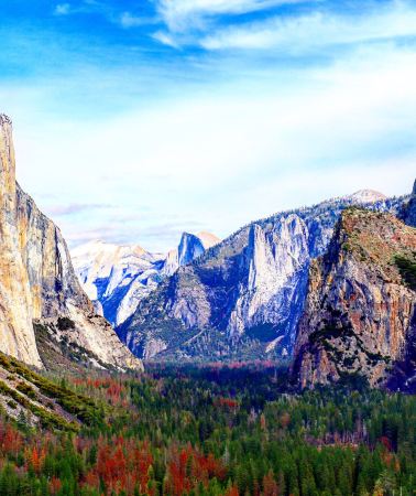 2D1N • Yosemite National Park