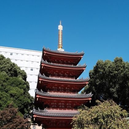 日本7日6晚私家团