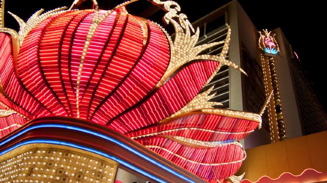 9-Day Road Trippin’ US West Tour from Los Angeles·Joshua Tree, Palm Springs, Zion, Bryce Canyon, Grand Canyon | Max 13 Guests