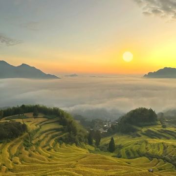 杭州+绍兴+金华+婺源+武夷山+丽水9日8晚私家团