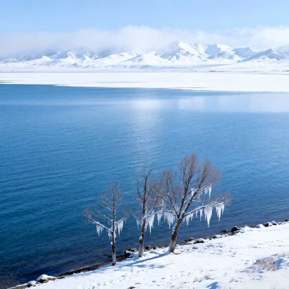 青海湖+茶卡盐湖+鸣沙山月牙泉+莫高窟+张掖七彩丹霞旅游景区8日7晚自由行