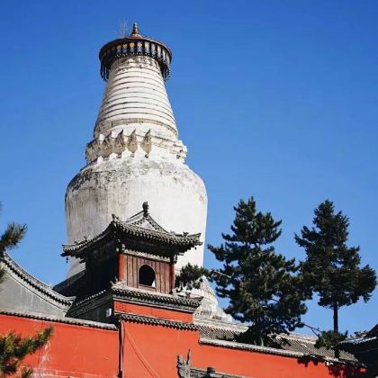 山西五台山+殊像寺+五爷庙+塔院寺+菩萨顶+显通寺3日拼小团