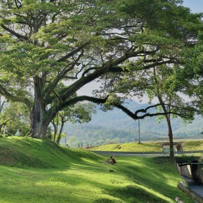 清迈+清莱4日3晚私家团